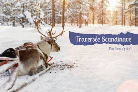 Spray jambes légères image